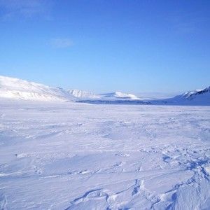 Meet your Posher, Dixon